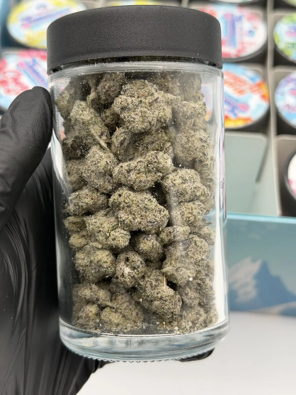 ARCADIA SNOWCAPS