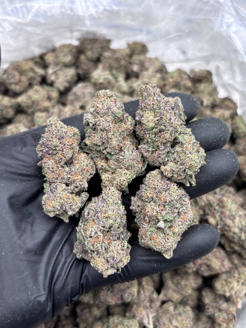 E85 indoors ⛽️