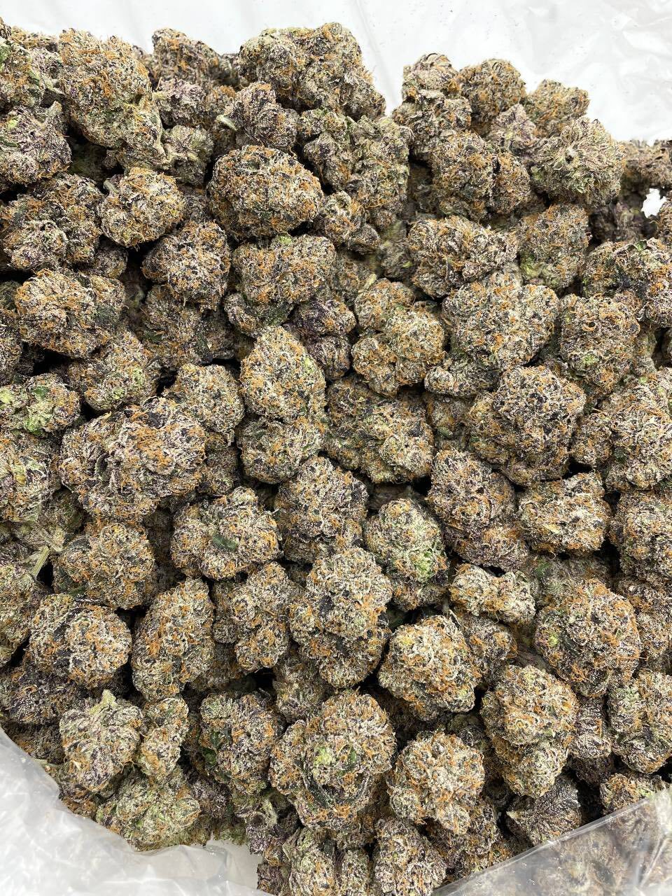 Peach runtz indoors 🔥 photo 2