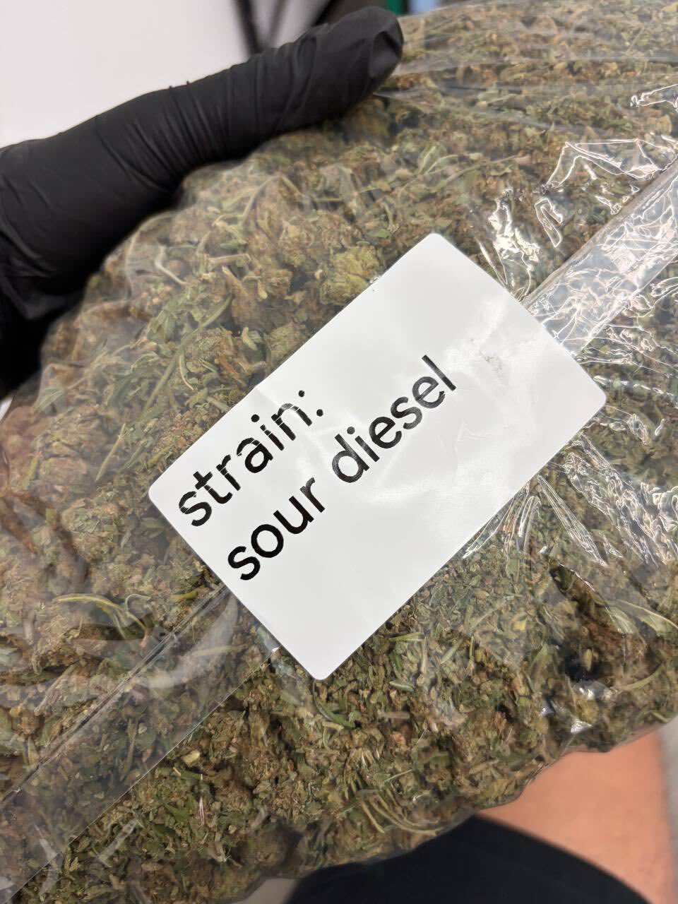 Chemdawg lows photo 5