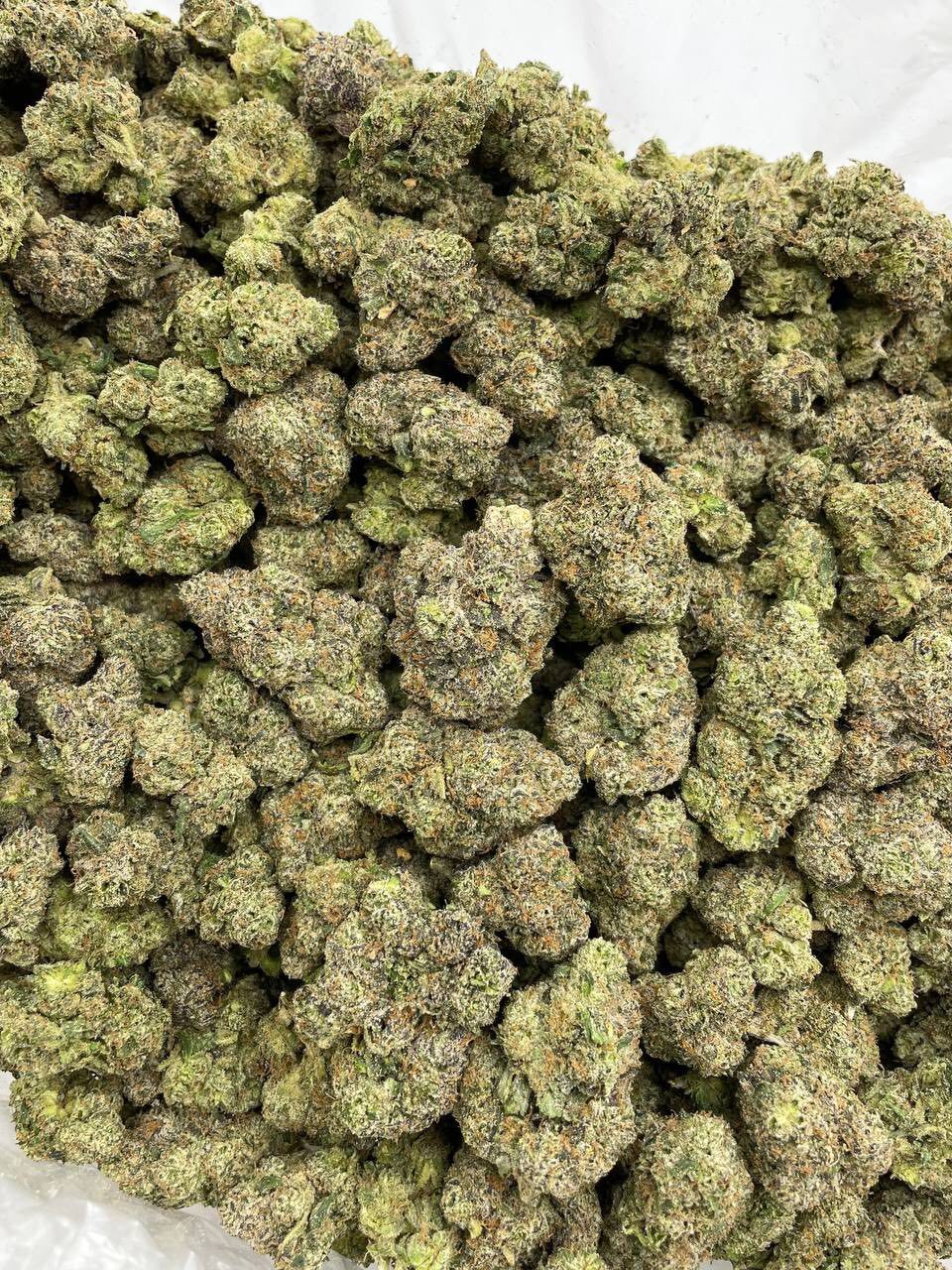 Warheadz indoor photo 2