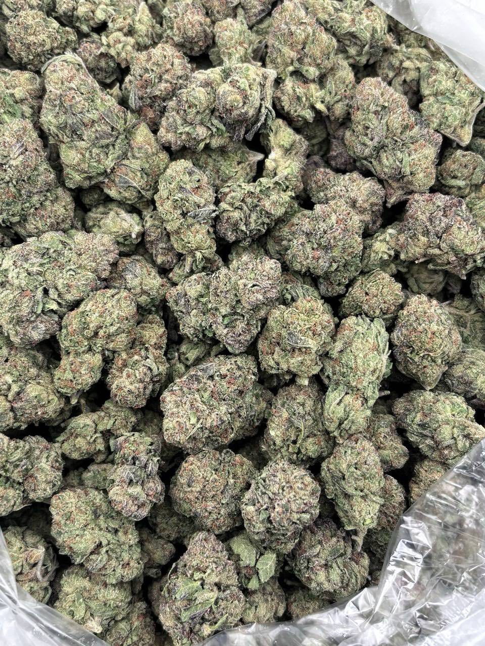 Cherry popperz mixed light 🍒 photo 2