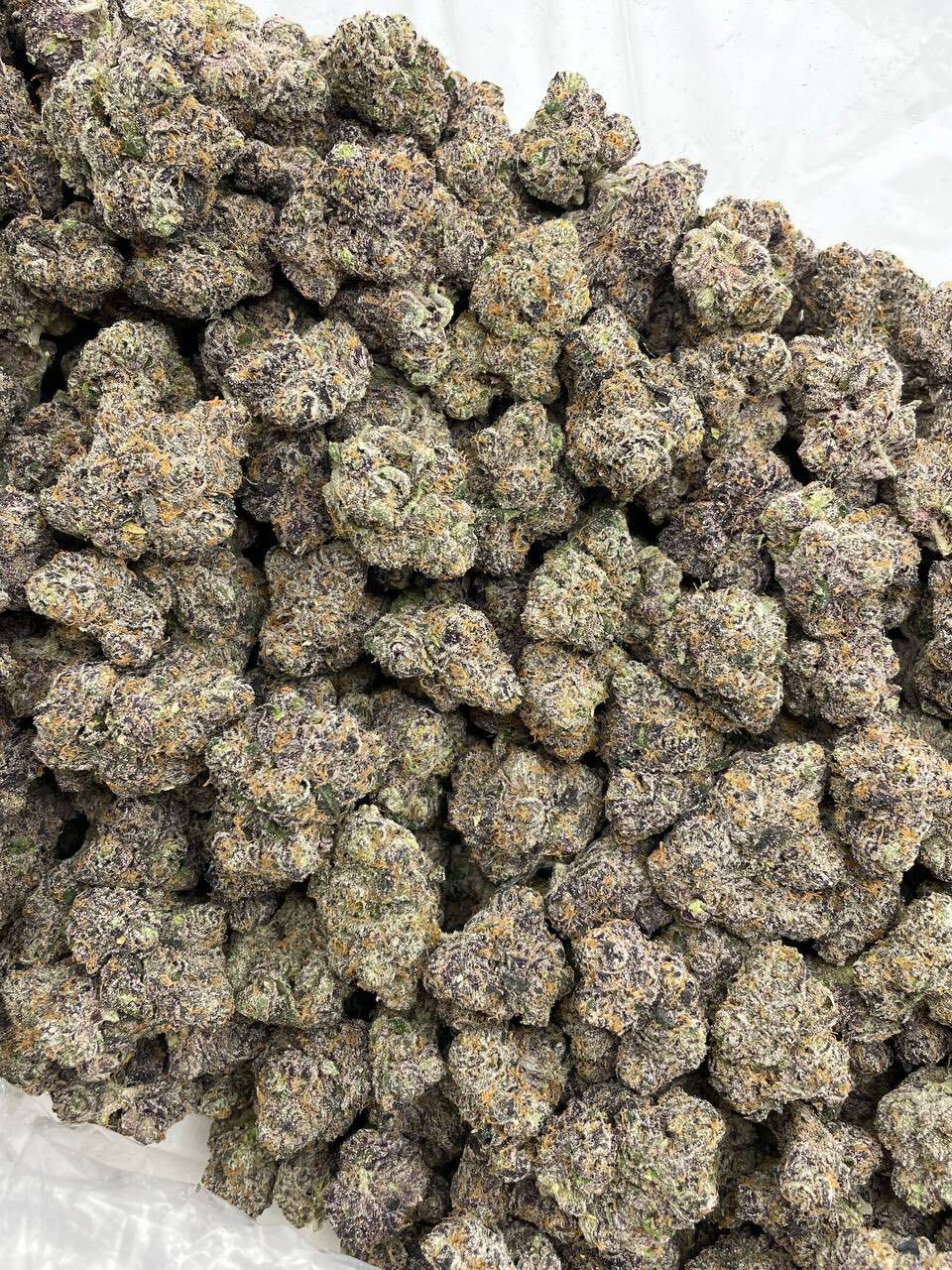 Peach runtz indoors 🔥 photo 5