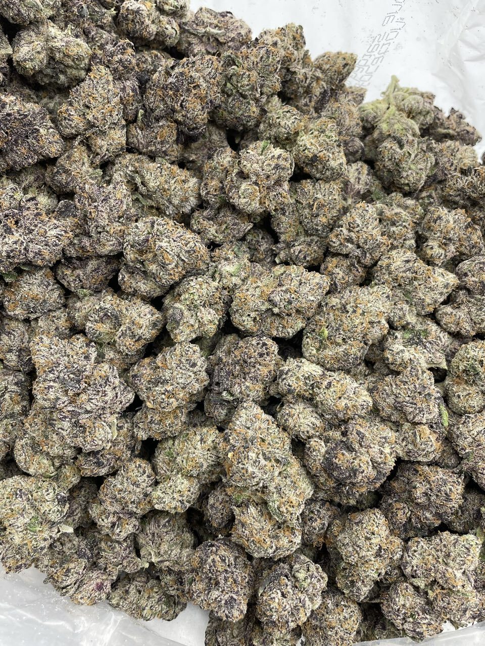 Black cherry curelato indoors 🍒🍬 photo 2
