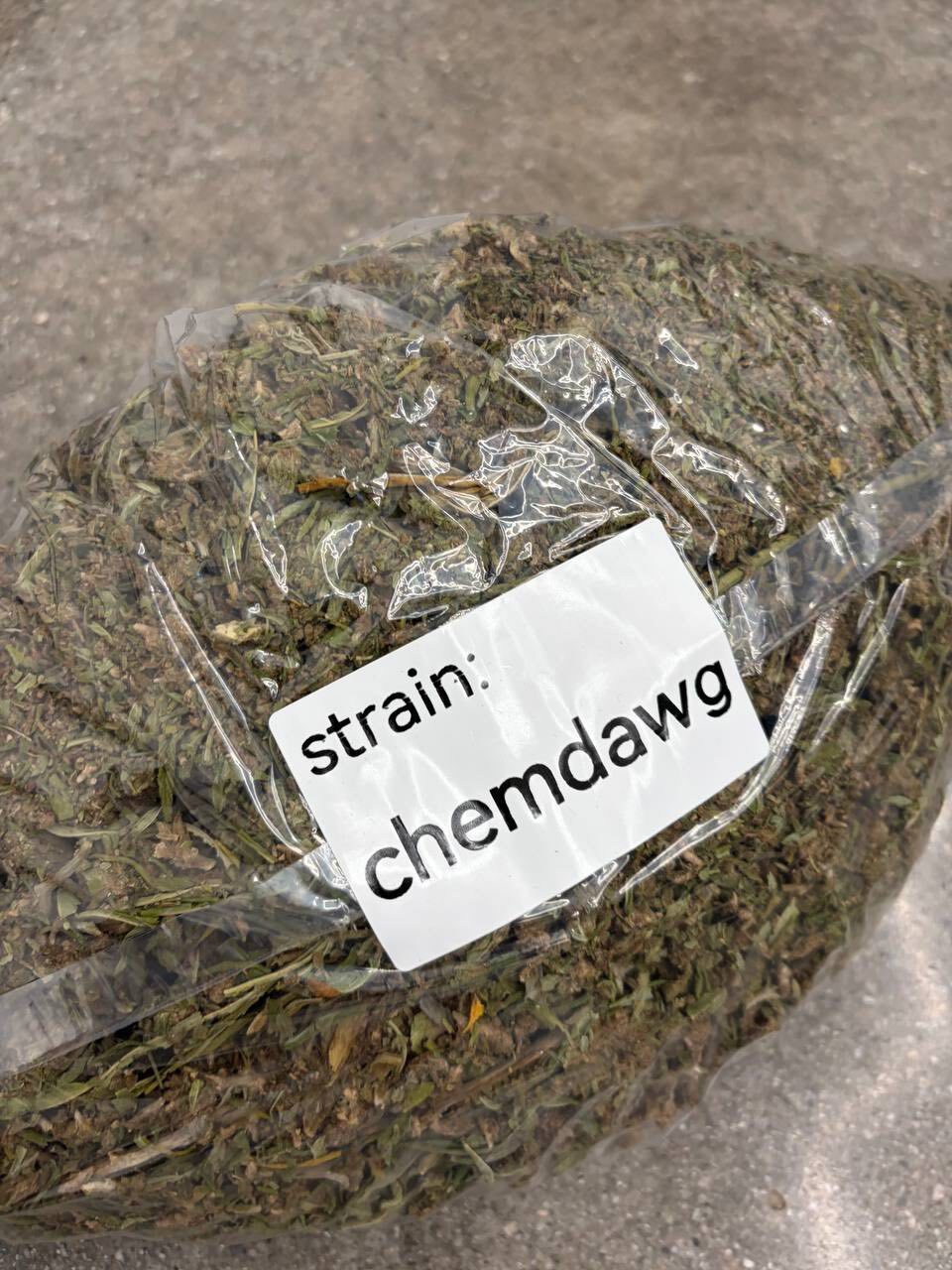 Chemdawg lows photo 3