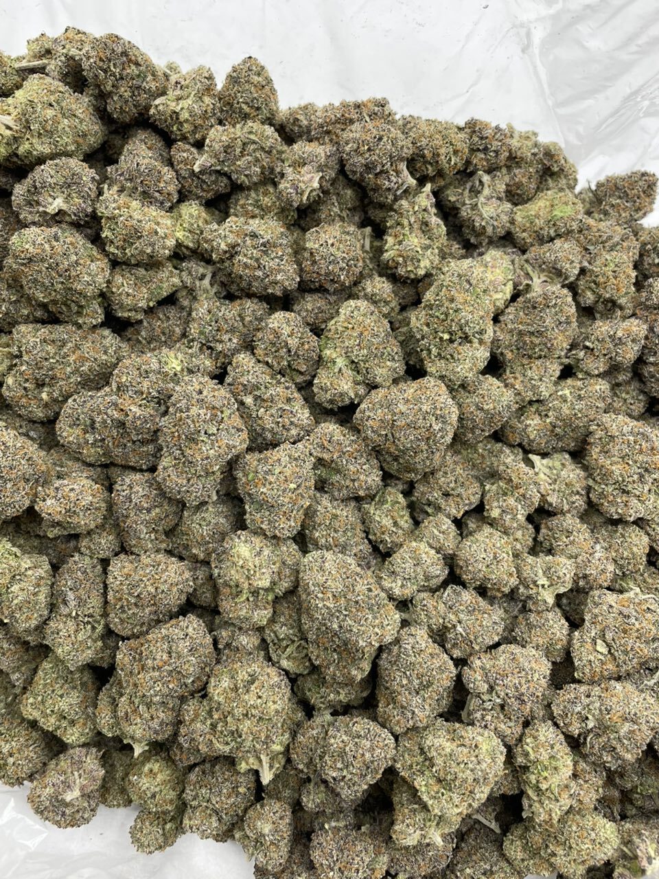 Black Cherry Smarties indoors ⚫️🍒🍭