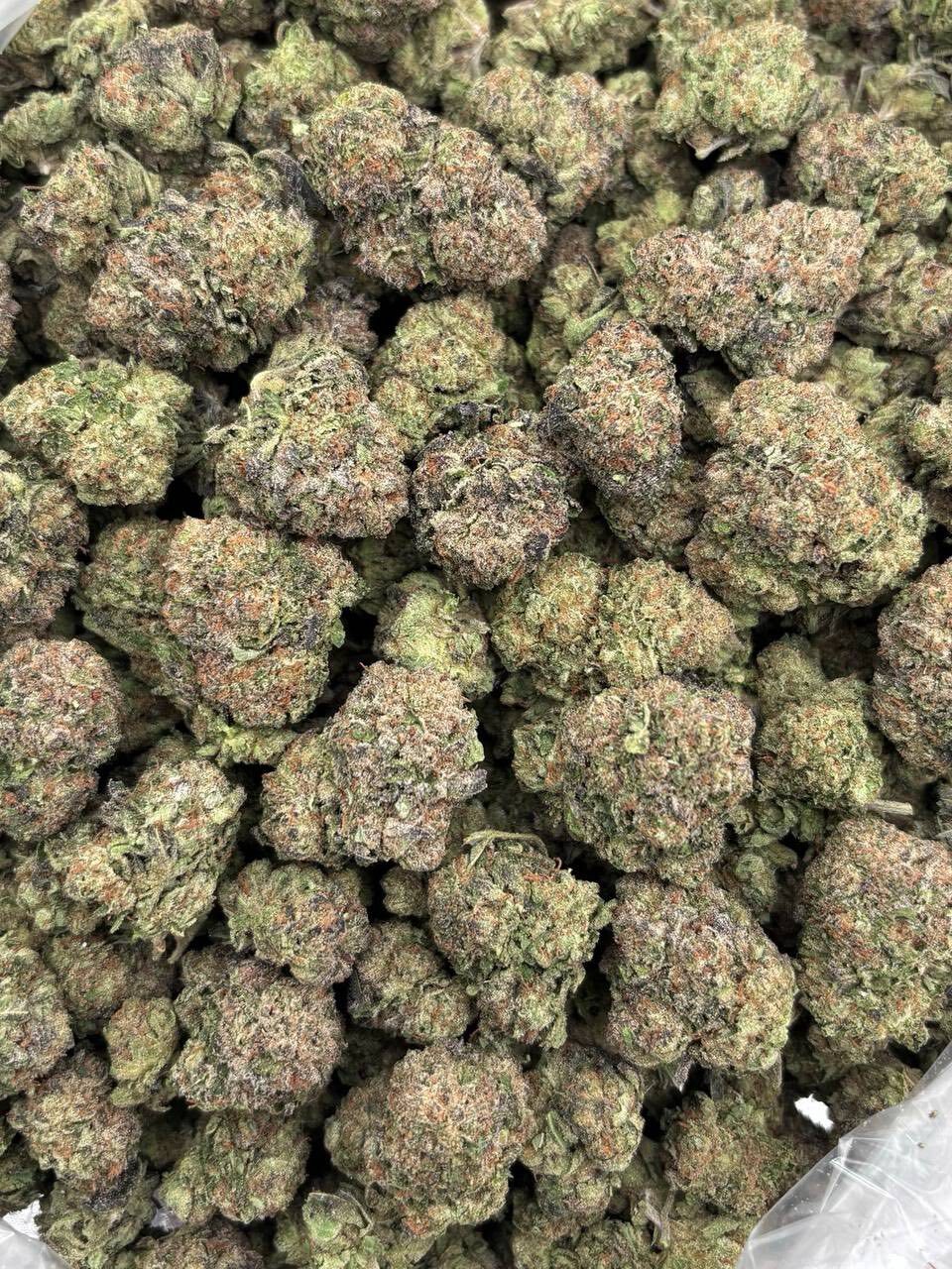Bubblegum runtz mixed lights 🛁🍬 photo 2