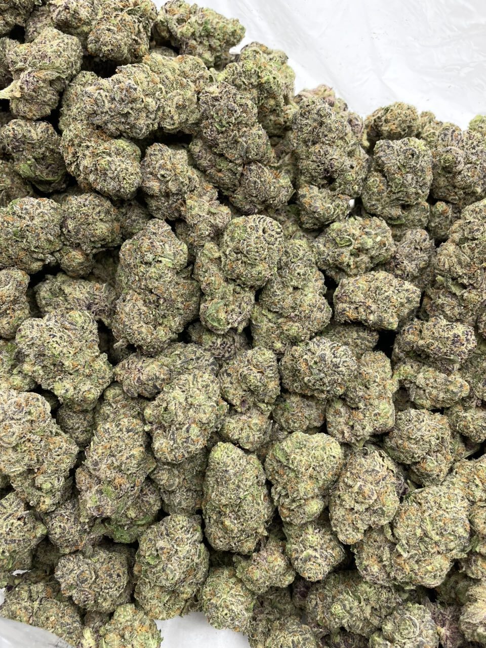 Grape Dosido mixed lights photo 2